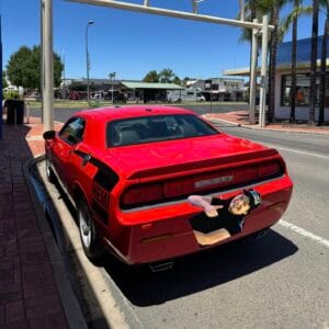 Dodge Rear